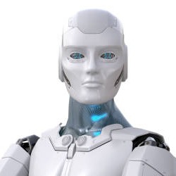 Avatar del usuario
